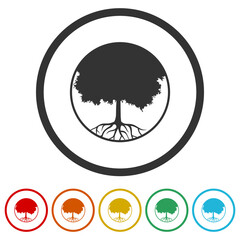 Tree round icon. Set icons in color circle buttons