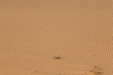 Scenic view of North Horr Sand Dune in Marsabit County, Kenya