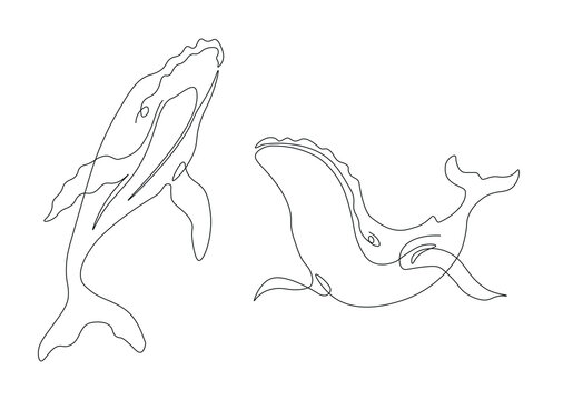 Two sperm whales made in the one continuous line art technique. Minimalistic black and white image