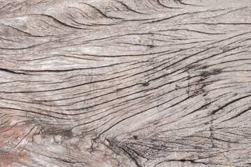 old rustic wood texture background