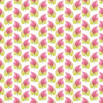 Seamless tropical flower pattern, Watercolor tropical floral repeat background, Summer colorful exotic flowers print, Trendy fabric design,  Summer  wallpaper