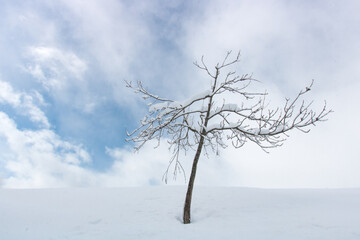 paysage sous la neige en hiver dans les Alpes à Vaujany