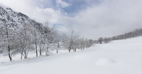paysage sous la neige en hiver dans les Alpes à Vaujany