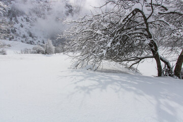 paysage sous la neige en hiver dans les Alpes à Vaujany