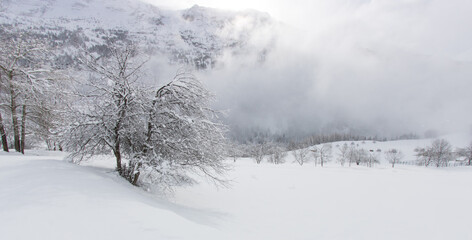 paysage sous la neige en hiver dans les Alpes à Vaujany