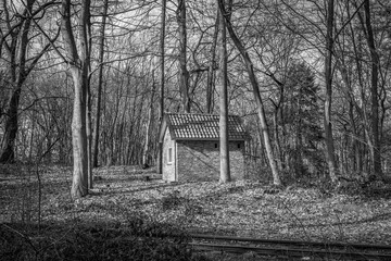 old house in the woods, in black and white