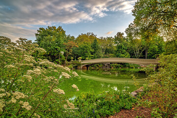 Bow bridge in the early morning in summer