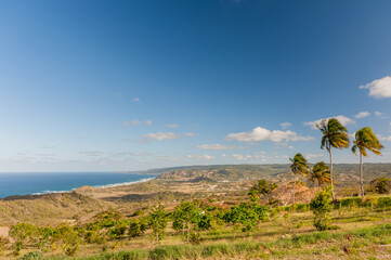 Barbados Landscape with Coastline. Caribbean Ocean. Wild Nature