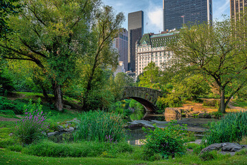 Gapstow Bridge in Central Park, summer early morning