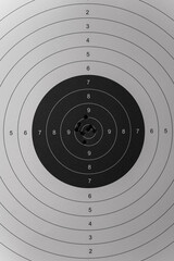 A target for shooting at a shooting range with bullet holes in the center.