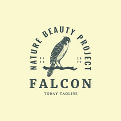 Fototapeta na wymiar falcon bird hawk vintage logo design vector