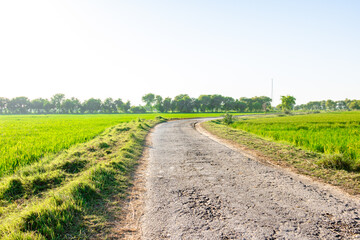 damaged road with potholes in village