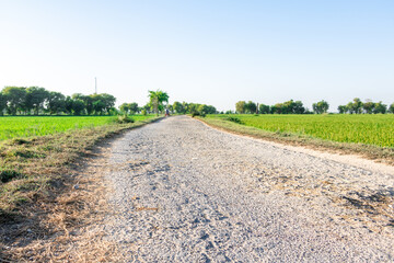 damaged road with potholes in the village