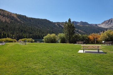  Green lawn and a cozy bench