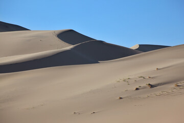 Fototapeta na wymiar The sand dune before sunrise