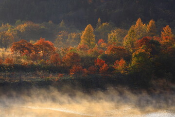 岩手県奥州市　紅葉の奥州湖