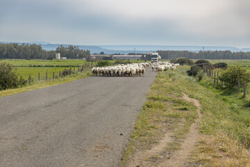 Fototapeta premium Sardinien, Perle im Mittelmeer