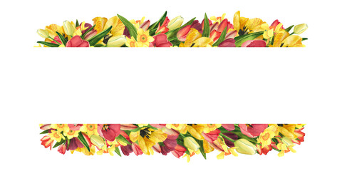 Frame with Tulips and daffodils. Watercolor banner. Easter floral Illustration for template, womens day, 8 march, poster