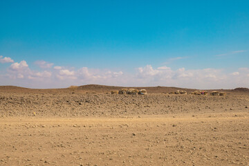 Traditional houses at Marsabit County, Kenya