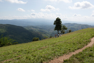 Obraz premium Beautiful landscape with forest and mountain slopes.in Thailand.Mountain green hills landscape. Mountain forest landscape