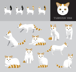 Cat Turkish Van Cartoon Vector Illustration Color Variation Set