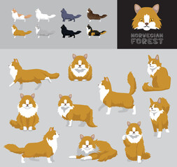 Cat Norwegian Forest Cartoon Vector Illustration Color Variation Set