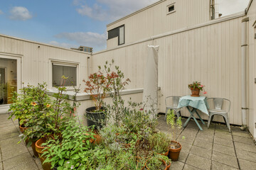 some plants in pots on a patio with a table and chairs behind the fenced off side of the house