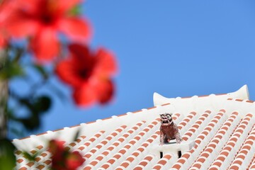 沖縄県竹富島　シーサーと赤瓦と青空と花
