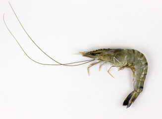 Fresh raw shrimp on white background