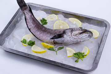 Fresh raw Fish Cork on ice frozen for cooking with lemon