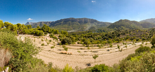 Fototapeta na wymiar Panorama im Inland von Mallorca