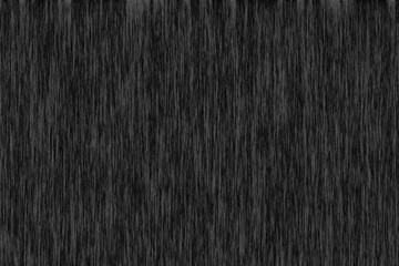 Black bark textured background image.