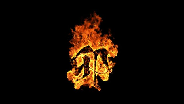 Burning_Fire_Text 卯 兎年 干支 2023年 引き フルショット