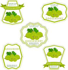 Sweet juicy tasty natural eco product gooseberry
