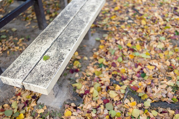 秋の公園の落ち葉と白のベンチ