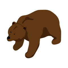 Obraz premium Isometric Bear Illustration