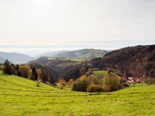 Fototapeta na wymiar Schwarzwald Landschaft. Zeller Bergland mit guter Sicht nach Wiesental und Wehratal bis auf Jura, die Schweizer Alpenkette am Horizont