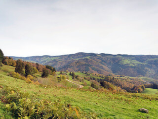 Fototapeta na wymiar Naturpark Südschwarzwald. Zeller Bergland zwischen Basel und Feldberg. Zimmerplatz und grüne Weiden mit Blick auf Fröhnd und Gersbach