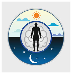 Human biological clock. An illustration of a harmonious circadian rhythm in flat vector format. Time for sleep and work, a man in bed at night and working at the computer during the day, a healthy lif