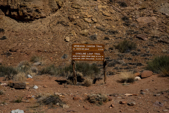 Sign for Upheaval Canyon and Syncline Loop Trails