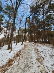 눈길이 있는 산