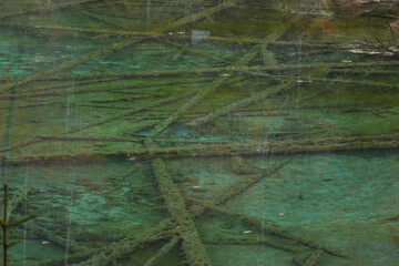 Riedener See Naturjuwel im Naturpark Tiroler Lech.