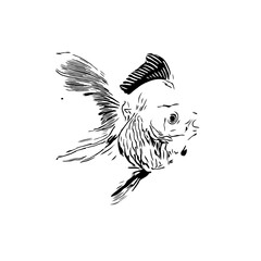 black and white drawing sketch of a fish with a transparent background