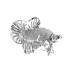 Fototapeta premium black and white drawing sketch of a fish with a transparent background