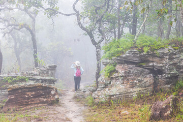 Young women hiking on high  mountain with forest and  mist,  Chaiyaphum province  Thailand.