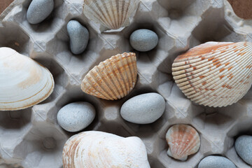 old shells and stones in a cardboard container