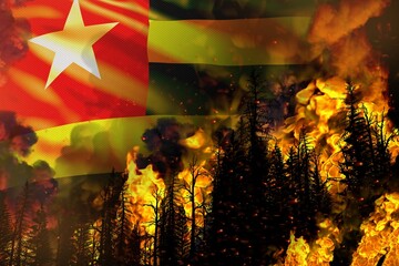 Big forest fire fight concept, natural disaster - burning fire in the trees on Togo flag background - 3D illustration of nature