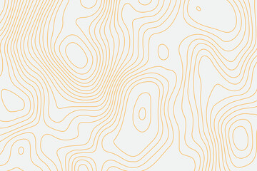 Abstract topographic contours map background. Topography lines and circles background. Topographic map Patterns