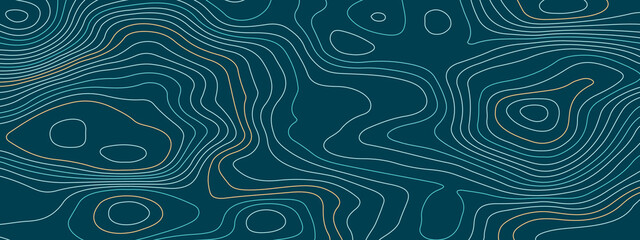 Abstract topographic contours map background. Topography lines and circles background. Topographic map Patterns, Topographic map and place for texture.  Vector illustration.