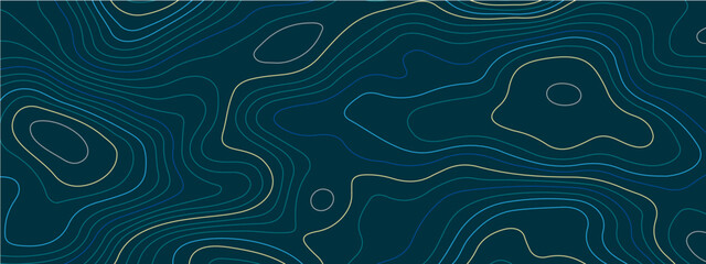 The stylized blue abstract topographic map with lines and circles background. Topographic map and place for texture. Topographic gradient linear background with copy space. Vector illustration.